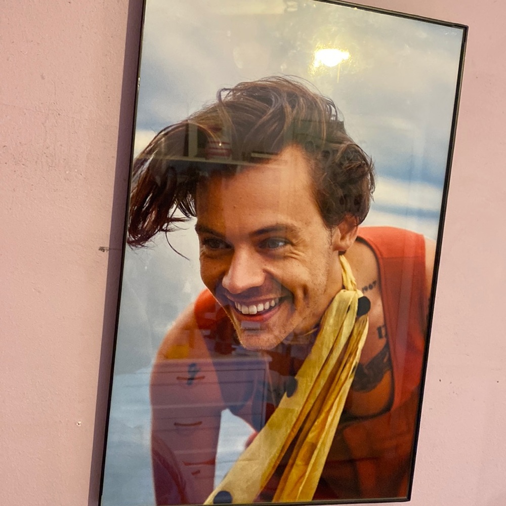 Harry styles framed picture